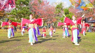 [4K]楠見おどりっ子隊　おどるんや秋まつり2017 二の丸会場