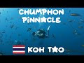 Chumphon Pinnacle, Koh Tao, Thailand