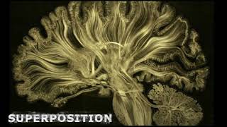 SUPERPOSITION (trailer)
