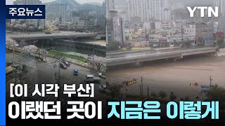 [제보영상] 물에 다 잠겨 버린 부산 동래구 온천천 / YTN