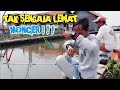 SPOT BANDENG LIAR DAN KOLEB MANCING SAK WONTENE