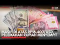 Masih di Atas Rp16.400/USD, Pelemahan Rupiah Menyempit | IDX CHANNEL