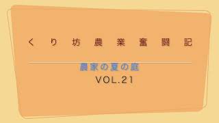 くり坊農業奮闘記　2309　くり坊の庭の夏風景