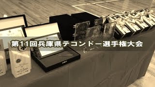 第11回兵庫県テコンドー選手権大会　チームマッソギ決勝戦ダイジェスト