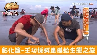 【彰化】坐鐵牛車摸蛤吃生蚵！王功採蚵車摸蛤生態之旅 食尚玩家