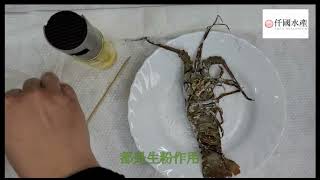 仟國水產軟殼龍蝦烹調方式