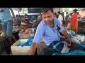 27 09 2024 আজকের বাজারে ইলিশ মাছের দাম কত ilish fish price in bangladesh heliport bazar faridpur.