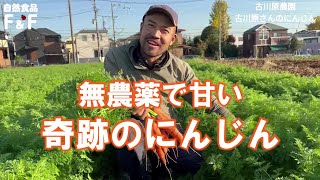 【古川原農園】奇跡のにんじん　無農薬、化学肥料不使用で栽培した、生で食べても甘くて美味しい古川原さんの人参。