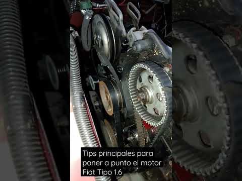 Tips Poner A Punto Motor Fiat Tipo 1.6 - YouTube