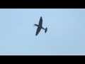 spitfire spits fire awesome sound