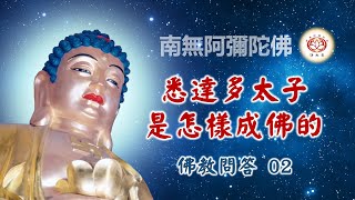 悉達多太子是怎樣成佛的?｜02佛教問答