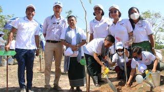 អាជ្ញាធរជាតិអប្សរា និងក្រុមហ៊ុន TotalEnergies ដាំដើមឈើ នៅក្នុងរមណីយដ្ឋានអង្គរ