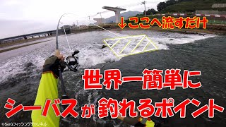 簡単にシーバスが釣れるポイント★