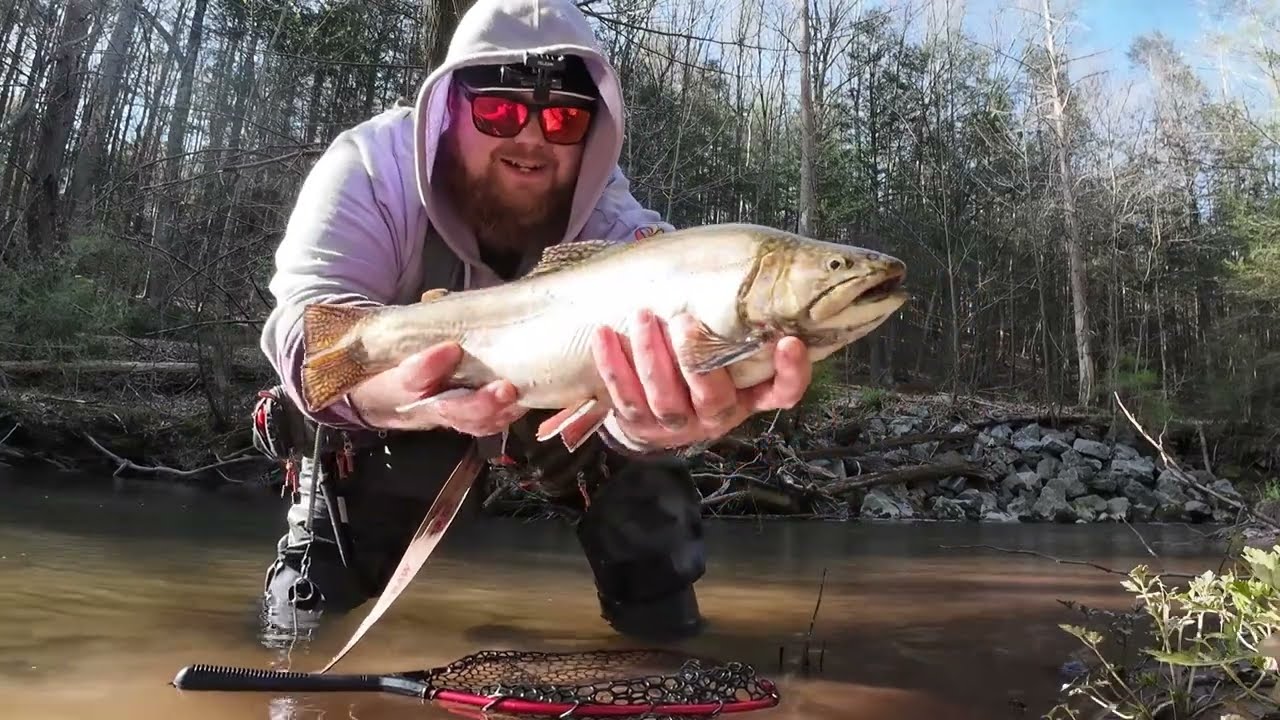 Giant Brook Trout - YouTube