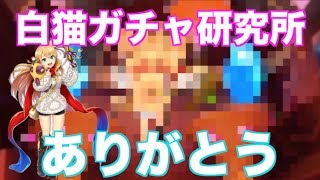 【白猫プロジェクト】探偵ガチャ 白猫ミステリーランド 白猫ガチャ研究所 を見てからガチャ引いてみた。ガチャオカルト検証