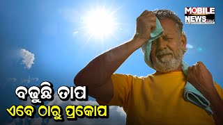 ବଦଳୁଥିବା ପାଣିପାଗକୁ ନେଇ କଣ କହୁଛନ୍ତି ପାଣିପାଗ ବିଜ୍ଞାନୀ ଉମାକାନ୍ତ ଦାସ; ଶୁଣନ୍ତୁ  || Odisha Weather Update