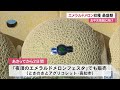 【高知】お中元商戦に向け　エメラルドメロンの収穫最盛期 23 07 06 12 12