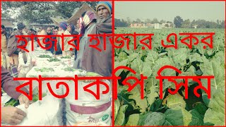 ১৬,জানুয়ারি ২০২৫ সবজির দাম কম থাকায়  স্যার  কীটনাশকের দাম বৃদ্ধি পাওয়ায় কৃষক করতে পারে আত্মহত্যা