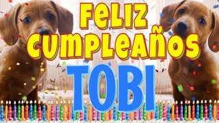 ¡Feliz Cumpleaños Tobi! (Perros hablando gracioso) ¡Muchas Felicidades Tobi!