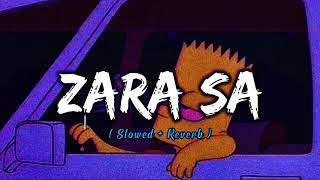 Zara Sa [ Slowed + Reverb ] Lofi Song