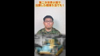 第二次世界大戦で活躍した戦車を当てろ！