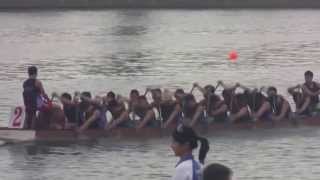 第十五届香港龍舟錦標賽2013標準龍500米公開組決賽-海虎仔