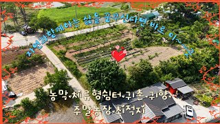 (매물번호 376) 서산부동산,음암면 율목리  자연과 함께하는 삶을 꿈꾸신다면 이곳이 바로 당신의 이상적인 선택!