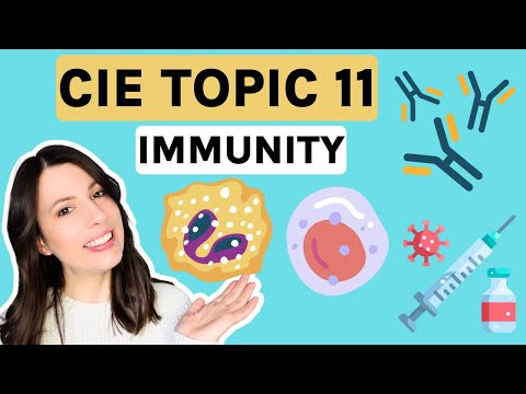 Immunity, antibodies and vaccines Theme 11 THE ENTIRE CIE THEME