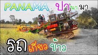 รถเกี่ยวข้าว ปานามา PANAMA ตะ ตุ้ม ต่วง บ่าวยงค์เอาข้าวขึ้นเหล้า ขอบคุณ 1,200,000 วิว