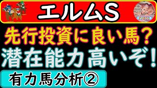 エルムステークス2023年　タイセイサムソン・ワールドタキオン・カフジオクタゴン