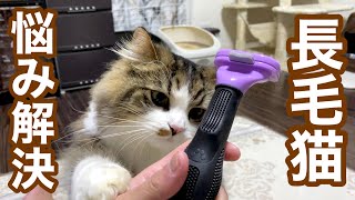 長毛種の悩み解決！猫の抜け毛を一掃できるファーミネーターの威力とは！？