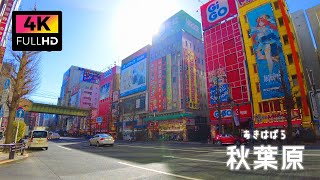 【4K】可愛いメイドさんが待ってる秋葉原電気街を散歩 (Mar. 2023) | Walk around Akihabara Electric Town.