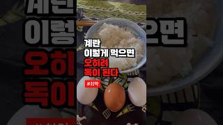 계란 이렇게 먹으면 오히려 독이 된다 #건강 #건강정보