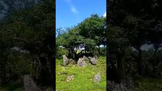 【藤原岳】#鈴鹿セブン　 #ソロ登山