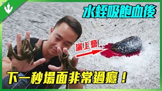 人吃了活的水蛭會死嗎？水蛭吸飽血後灑上鹽，會發生什麼？阿祖做了個實驗！