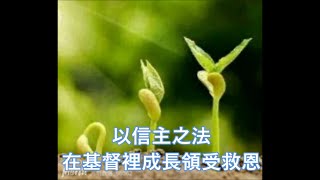 （華） 聖誕特輯3 — 以信主之法在基督裡成長領受救恩