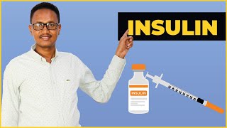 Insulin Therapy - Dr Mohamoud