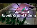 Introduction of robotic origami training