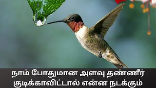 நாம் போதுமான அளவு தண்ணீர் குடிக்காவிட்டால் என்ன நடக்கும் #169 / C.K.Nandagopalan