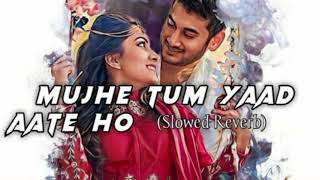 #new #hindilofi #music  mujhe tum yad aate ho #slowedandreverb #trendingsong