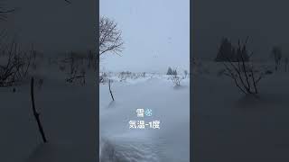 今朝は雪❄️越後湯沢のお天気2024年1月10日　#天気予報 #ログハウス生活 #猫のいる暮らし #越後湯沢のお天気　#雪