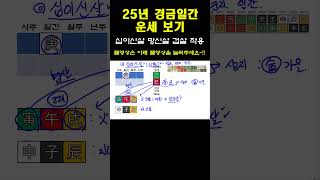 2025년 을사乙巳년 경금일간 운세_십이신살 망신살 겁살작용  #25년운세  #을사년운세