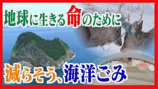 向かい合ったまま動かない２頭のエゾシカ　野生の命を脅かすのは