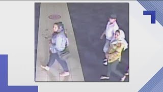 Thieves steal from prayer room at metro Atlanta Hindu temple
