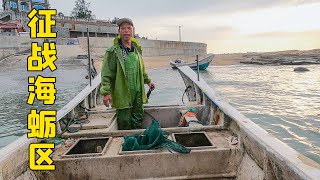 阿雄出海征战海蛎区，龙虾螃蟹大螺通通抓回家，雄嫂笑得停不下来