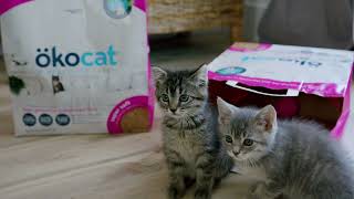 okocat Super Soft Wood Clumping Natural Cat Litter NOW in 100% Recyclable Paper Bag