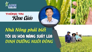 APN - NHÀ NÔNG PHẢI BIẾT CÁCH TỐI ƯU HÓA NĂNG SUẤT LÚA | DINH DƯỠNG NUÔI ĐÒNG