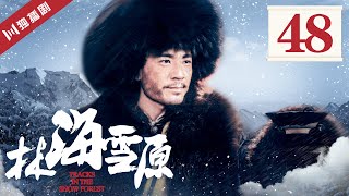 【FULL】林海雪原 EP48 贼矬子发现地图 座山雕演习试探 (倪大红/黄觉/金星/李光洁/张睿)