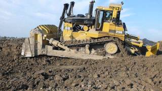 Saving the Cat  D10R Like a Boss