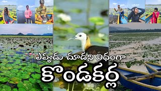 Best time to reach Kondakarla Ava|| కొండకర్ల ఆవా - ఎప్పుడు చూడని విధంగా #kondakarla #kondakarlaava